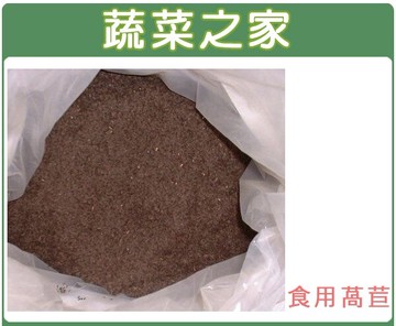 【蔬菜之家】食用萵苣(A菜)種子(台大配方、中興配方媽媽茶萵苣籽)-共有3種規格可選