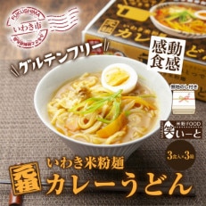 無地熨斗　ギフトにおすすめ　いわき米粉麺カレーうどん　3食入×3箱