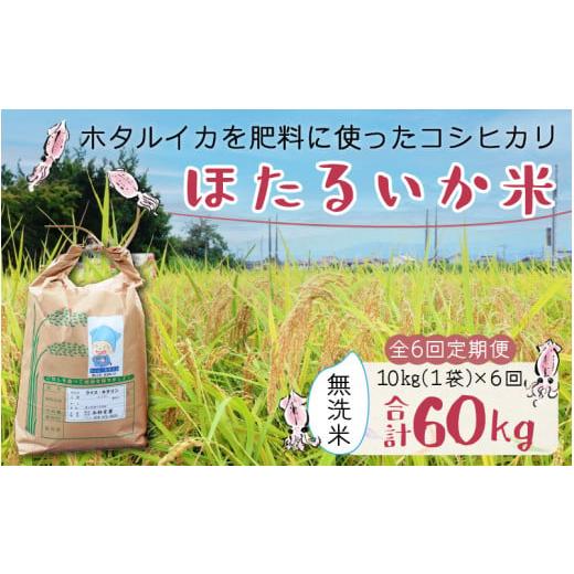 ふるさと納税 富山県 滑川市 ほたるいか米（無洗米10kg）×6回 計60kg