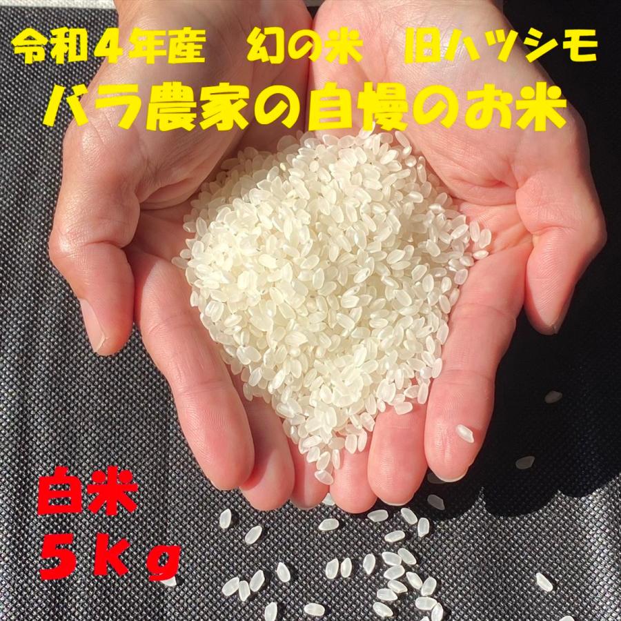 令和５年産　☆新米☆　白米　５kg　岐阜県産　ハツシモ　幻のお米　米