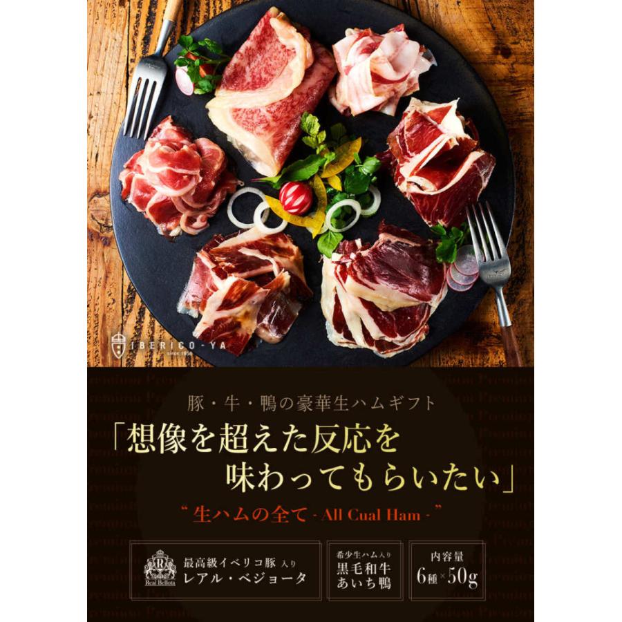 高級 おつまみ 生ハム 6種 イベリコ豚 黒毛和牛 あいち鴨 ベーコンお取り寄せグルメ おしゃれ ハム 冷凍