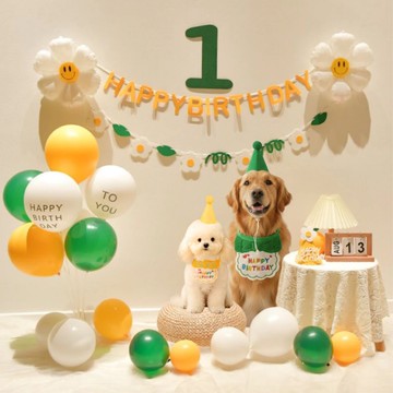 🐕‍🦺 隔日到貨🐈‍⬛ 寵物套組01 清新綠黃 寵物派對佈置 貓咪生日 狗狗生日 寵物佈置 寵物生日套組