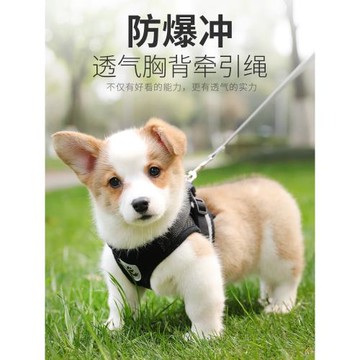 背心式狗狗牽引繩小型犬胸背帶泰迪柯基小狗幼犬狗鏈子遛狗繩胸背