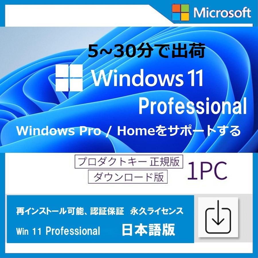 Visio Professional 2019正規永続版カード 2枚セット