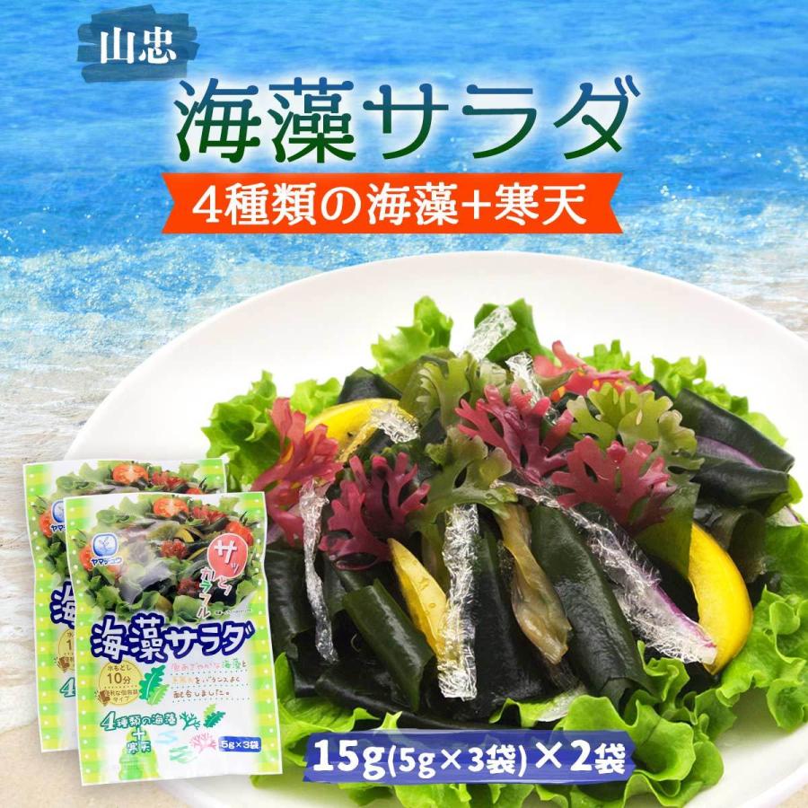 送料無料 [山忠] 乾物 海藻サラダ 15g(5g×3袋セット)×2袋セット  サラダ 海藻 糸かんてん 酢の物 海藻スープ つま 海藻サラダ