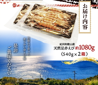 紀州和歌山産天然足赤えび540g×2箱（270g×4パック）　化粧箱入 ※着日指定不可 ※2023年11月上旬～2024年2月下旬頃に順次発送予定