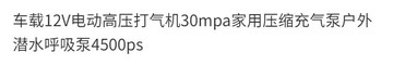 【台灣公司 可開發票】【40MPA】車載12V電動高壓打氣機壓縮充氣泵戶外潛水呼吸泵4500ps