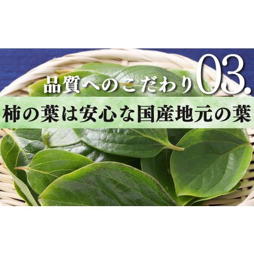 ふるさと納税 奈良県 吉野町 柿の葉ずし(24個入り) 鯖・鮭 各12個 和楽路屋 田中