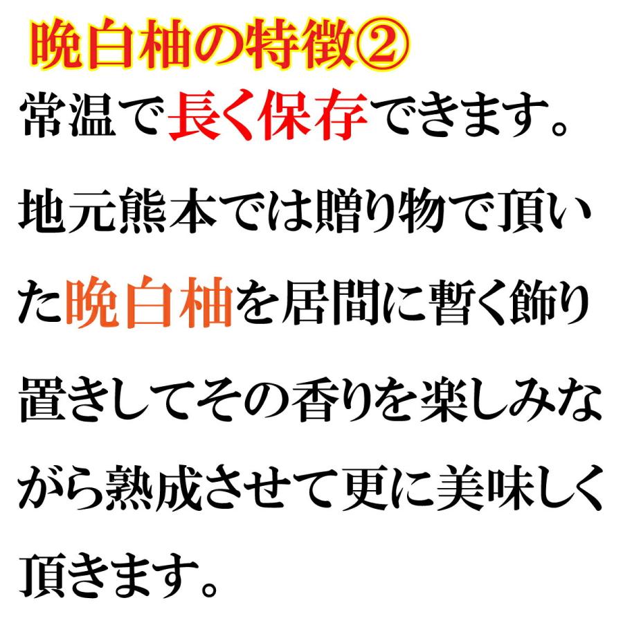  化粧箱入 熊本  熊本県 ばんぺいゆ バンペイユ 世界一 柑橘 特産品 送料無料