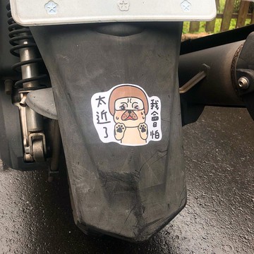 防水防曬大貼紙 | 行車安全狗狗