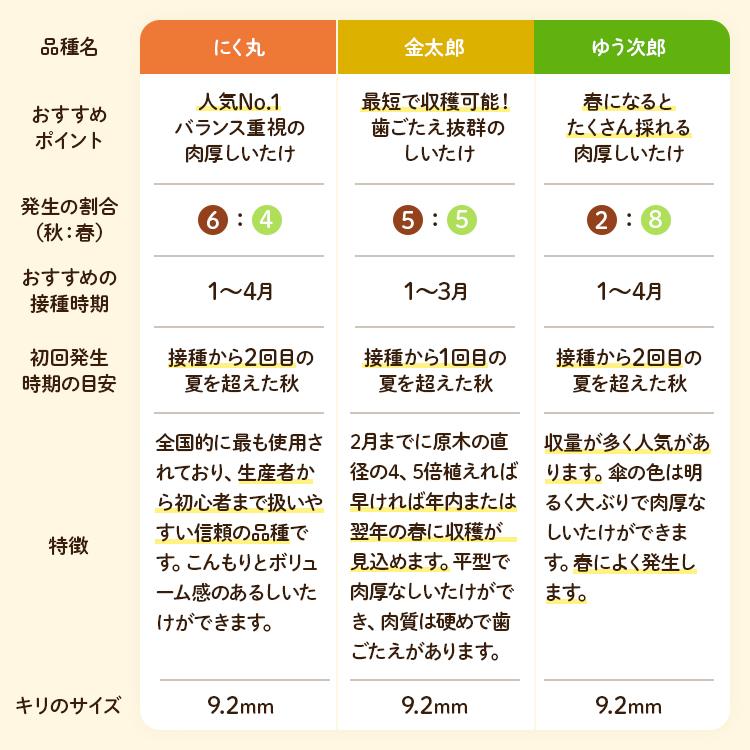 椎茸 種駒 椎茸菌 シイタケ菌 もりの金太郎｜  森産業 原木栽培 しいたけの種  原木椎茸