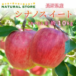 [予約 10月10日-11月30日の納品]  シナノスイート 約 10kg 28-32玉 大玉 秋ギフト 長野県産 りんご リンゴ 林檎 蜜入り 産地箱