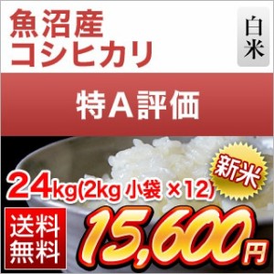 新米 令和5年(2023年)産  新潟県魚沼産 コシヒカリ〈特A評価〉24kg(2kg×12袋）