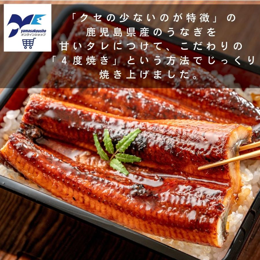 ギフト 冷凍 敬老の日 Ｂ うなぎ うなぎ蒲焼 牛タン入つくね 贈り物 宮城名産 健康 送料無料