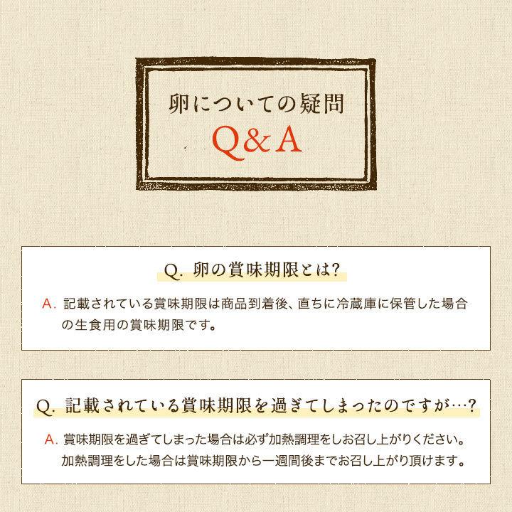 二種食べ比べセット商品 高級名古屋コーチンの卵（20個入り）＋くしたま赤卵（20個入り） 送料無料 合計40個入り(内破卵保障4個含む) 食品 卵 鶏卵 玉子 たまご