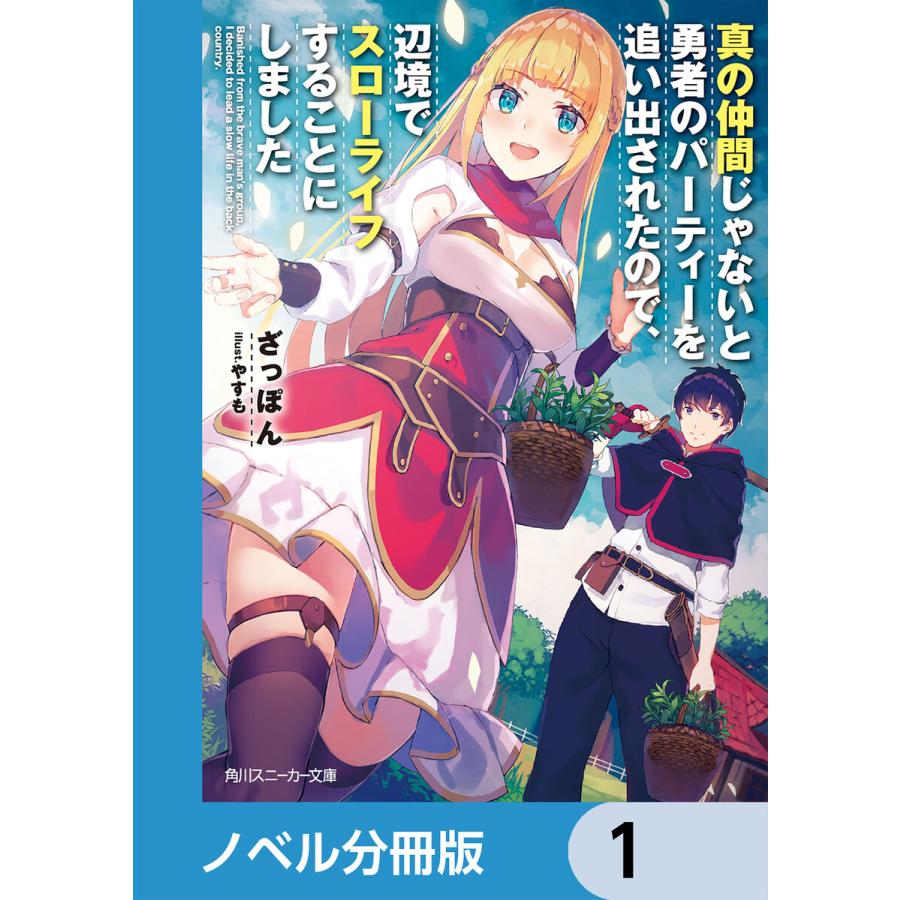 真の仲間じゃないと勇者のパーティーを追い出されたので,辺境でスローライフすることにしました 電子書籍版