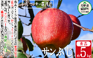 りんご サンふじ 秀 5kg 光センサー選別品 ながの農業協同組合 沖縄県への配送不可 2023年12月上旬頃から2023年12月下旬頃まで順次発送予定 令和5年度収穫分 信州 果物 フルーツ リンゴ 林檎 長野 14500円 予約 長野県 飯綱町 [0339]