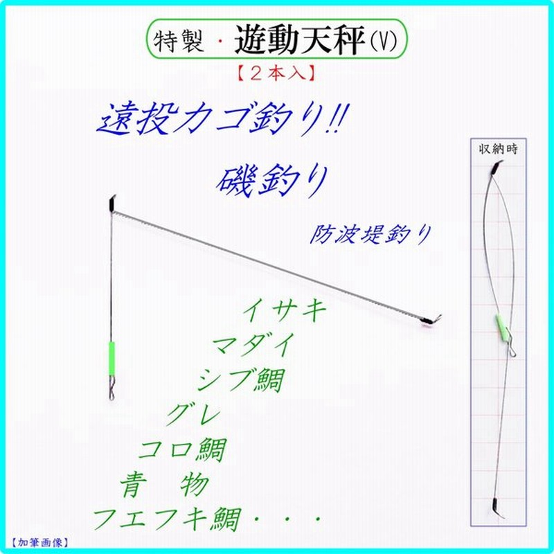 特製 遊動天秤 V 2p 遠投カゴ釣り仕掛け 磯 防波堤 真鯛 イサキ シブ鯛 フエフキ鯛 グレ アジ サバ コロ鯛 青物 通販 Lineポイント最大0 5 Get Lineショッピング