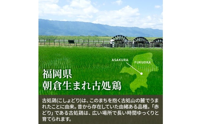 水炊きセット 鶏飼う人 古処鶏 こしょどり ギフトセット 天野商店 配送不可 離島