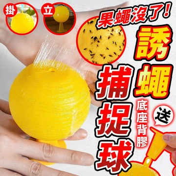 台灣出貨🔥誘蠅捕捉球 誘蠅球 果蠅誘捕球 黏果實蠅球 黏蒼蠅球 超黏捕蠅球 誘蟲球 黏蟲板 果蠅誘捕 捕蠅器 黏蟲板