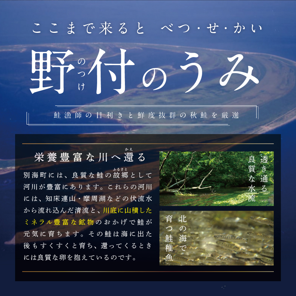 ★N15 こだわり熟成 秋鮭切身 15切（1切×15pc）