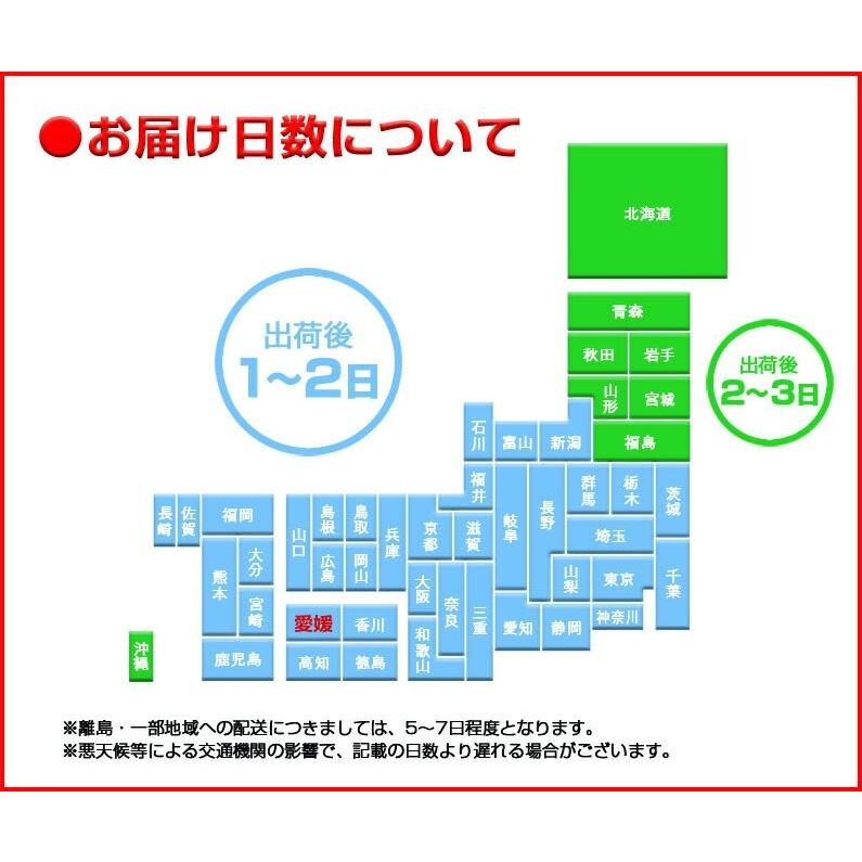 レモン 国産 愛媛 瀬戸内レモンご家庭用 ５kg(42玉前後) 産地直送 ノーワックス・減農薬 J常