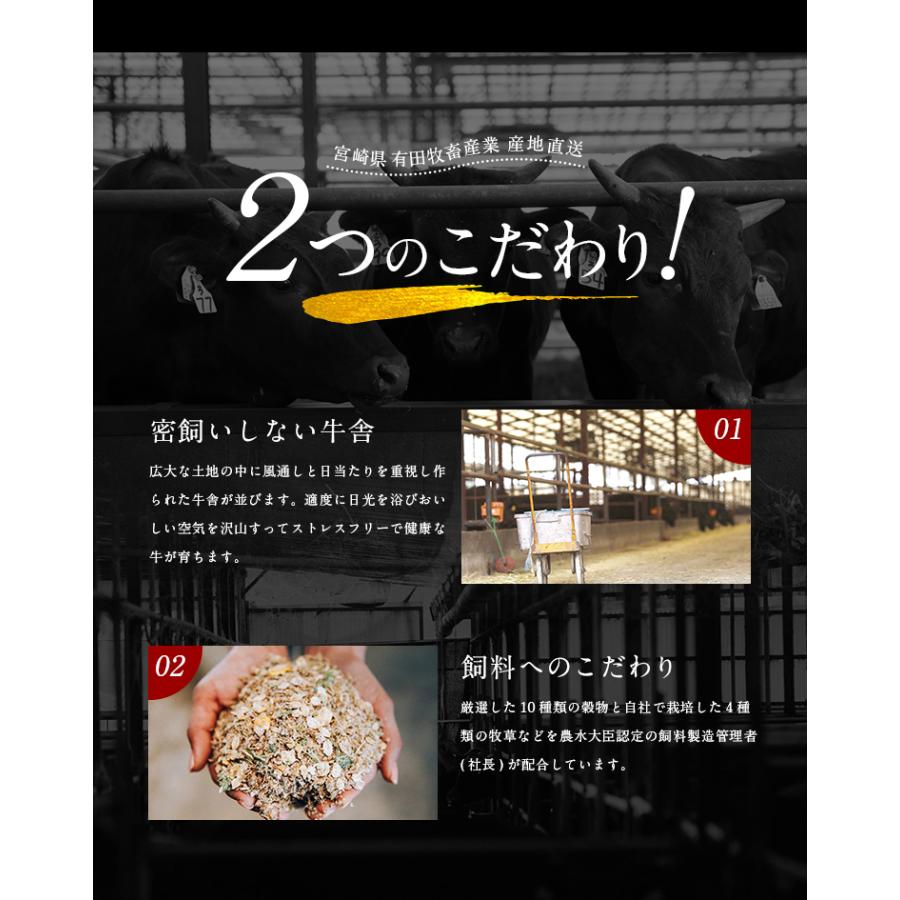 黒毛和牛 サーロインステーキ 九州産 300g (150g×2枚) セット 有田牧場 送料無料 国産 和牛 ステーキ肉 ギフト お取り寄せグルメ 高級 お歳暮 2023 [産直]