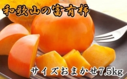 [甘柿の王様]和歌山産富有柿約7.5kgサイズおまかせ ※2023年10月中旬頃～12月上旬頃に順次発送予定