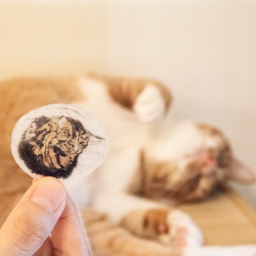 水墨貓咪和紙貼紙 - 海螺貓