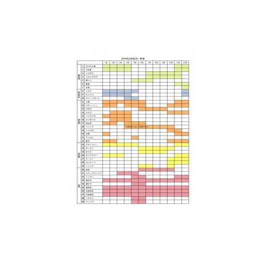 ふるさと納税 宮崎県 日向市 山の子農園の化学肥料・農薬をつかっていない旬のお野菜詰め合わせセット [山の子農園 宮崎県 日向市 452060149]