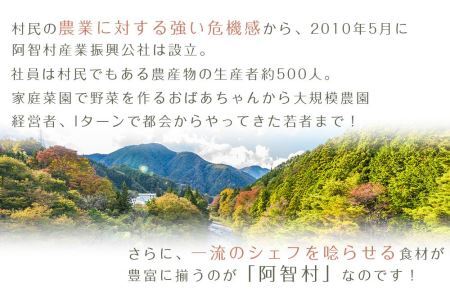 南信州 阿智村 市田柿 1箱（約700g）｜ ご当地 名産 柿 干し柿 果物 フルーツ 信州 長野