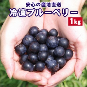 今季収穫分！国産 鹿児島県産 冷凍ブルーベリー 1kg たっぷり 大容量 冷凍果物 くだもの フルーツ ブルーベリー お取り寄せ