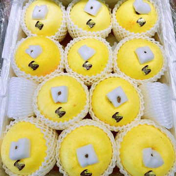 【帕查嬤嬤】🇯🇵日本 青森 頂級 金星蘋果🍎｜日本蘋果禮盒