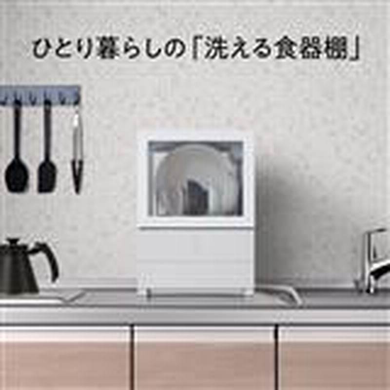 Panasonic 1人用 食洗機 NP-TML1 SOLITA(ソリタ)（パナソニック 