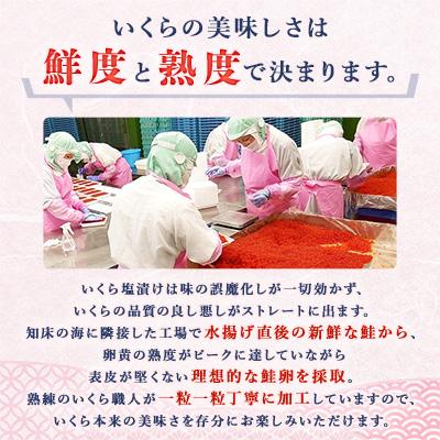 ふるさと納税 斜里町 北海道知床産 鮭いくら塩漬け(塩いくら)　400g