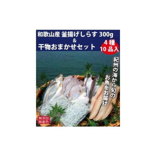 ふるさと納税 和歌山県 九度山町 和歌山産 釜揚げしらす300g＆干物詰め合わせセット 4種10品入り