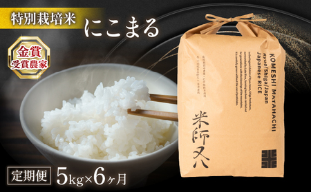  令和5年産 十六代目米師又八 謹製 にこまる 5kg×6ヶ月  米 新米 にこまる 精米 にこまる 白米 にこまる 令和5年産 にこまる 産地直送 にこまる 農家直送 にこまる 国産 にこまる 特別栽培米 にこまる 金賞農家 にこまる 滋賀県 竜王町)