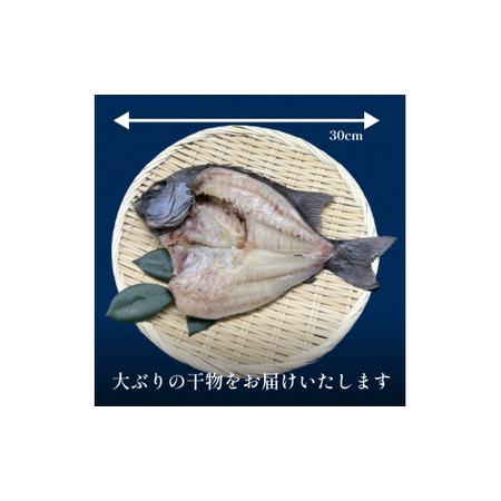 ふるさと納税 完全受注生産！干物セット 贅 -Zei- 贅沢な高級干物セットをお届けします！ 富山湾 氷見 氷見漁港 干物 セット 手作り 詰め合.. 富山県氷見市