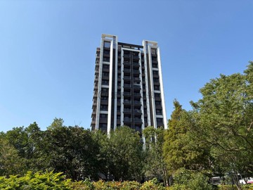 大有商圈 無疆 漂亮景觀三房車｜桃園市桃園區三元街