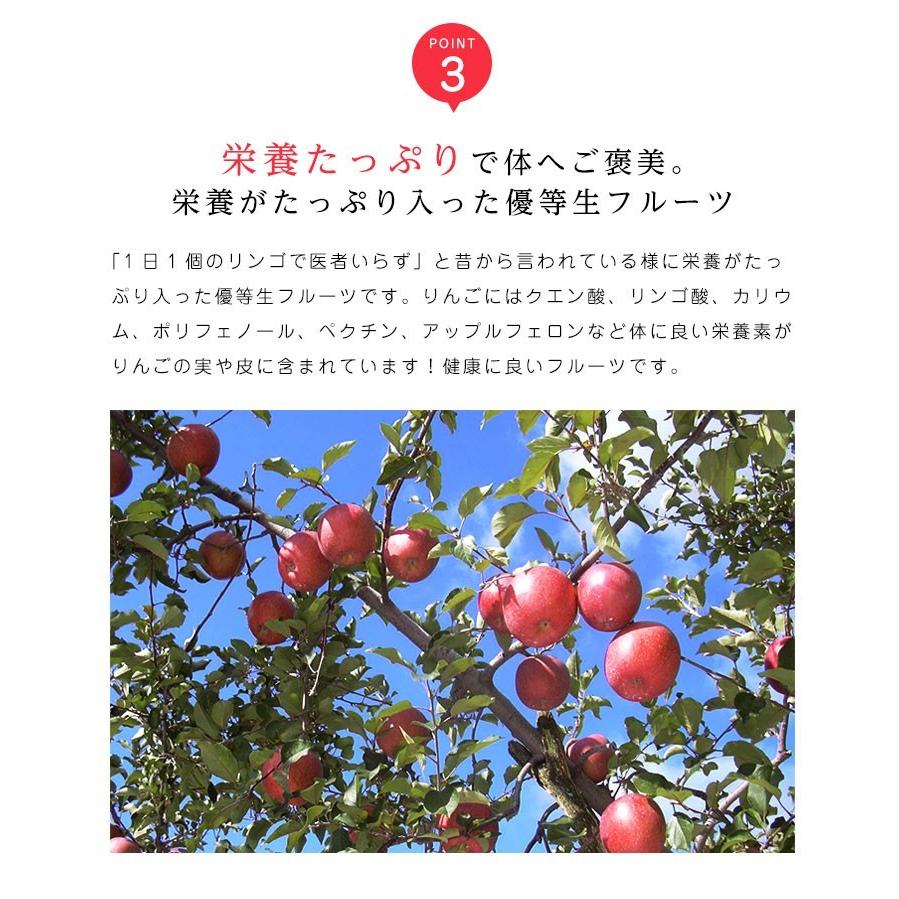 送料無料 青森県産 弘前 高糖度 サンふじ 10-11玉 約3kg サンふじ 高糖度 サンふじ  サンふじりんご リンゴ 青森産 りんご 林檎