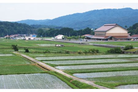 令和5年産!邑南町産石見高原瑞穂米5kg 定期便12か月　お届けコース