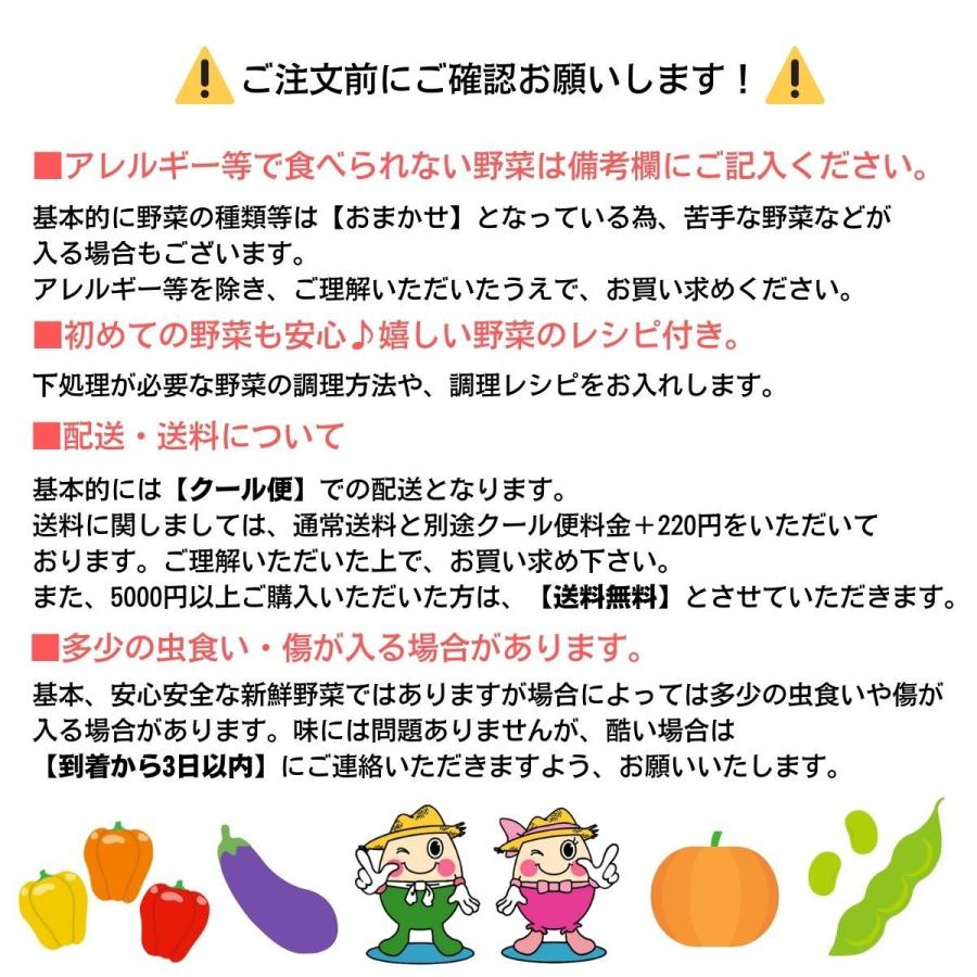 採れたて野菜セット  9-11種類　山形県遊佐町産 新鮮秋冬野菜