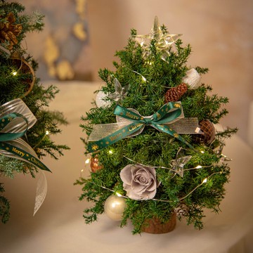 【Star星願】日本永生花 乾燥花 Led 小聖誕樹 / 聖誕節禮物佈置