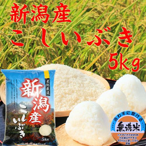 新米5kg 無洗米 令和5年 新潟産 こしいぶき 米 5kg 無洗米 新潟県産 お米 5kg 無洗米 農家直送 新潟米 こしいぶき 5キロ お米