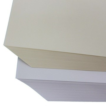 全開 印書紙 白報紙 50磅(米黃色)/一包500張入 78cm x 108cm 環保紙 模造紙-冠【APP滿額下單4%點數(單一帳號最高1500點)】6/30止