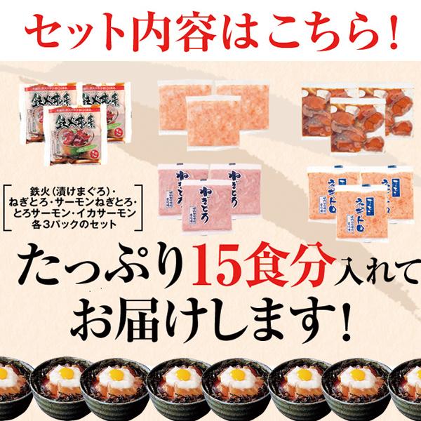 大人気の海鮮丼をどっさり★海鮮丼詰合せ計１５食 （マグロ漬け3p＋ネギトロ3P サーモンネギトロ3p トロサーモン3p イカサーモン3P）［A冷凍］