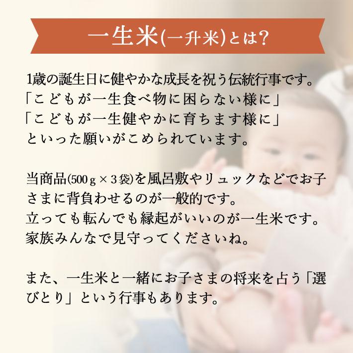 一生米 一升米 米 送料無料 特別栽培米 つや姫 山形県産 米シスト庄内