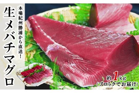 生まぐろの本場紀州勝浦から直送！　生メバチマグロ 約1kg