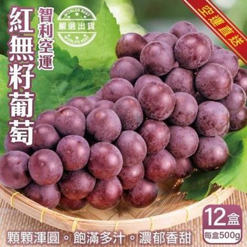 果物樂園-智利紅寶石葡萄12盒(約500g/盒)