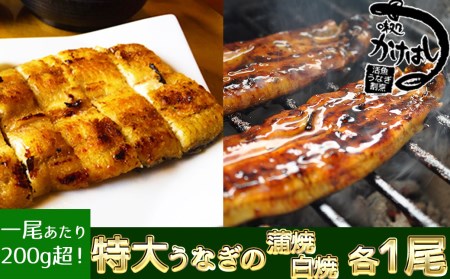 特上 うなぎの蒲焼き 白焼き（各1尾） 秘伝のタレ付